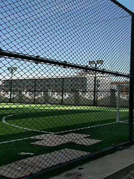 Chain link mesh vs Double Wire Fencing: A Comparison of Two Affordable Fencing Solutions